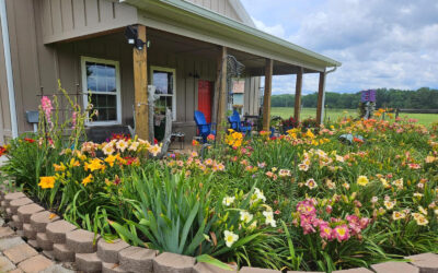 Let Your Life Create A Beautiful Garden!